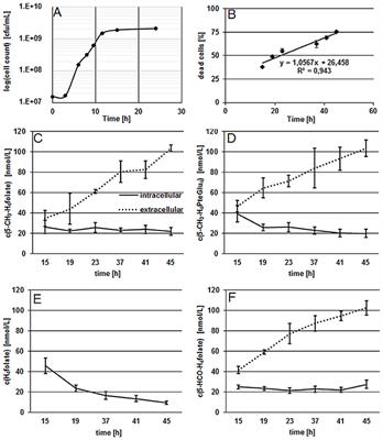 Measurements of Intra- and Extra-Cellular <mark class="highlighted">5-Methyltetrahydrofolate</mark> Indicate that Bifidobacterium Adolescentis DSM 20083T and Bifidobacterium Pseudocatenulatum DSM 20438T Do Not Actively Excrete <mark class="highlighted">5-Methyltetrahydrofolate</mark> In vitro